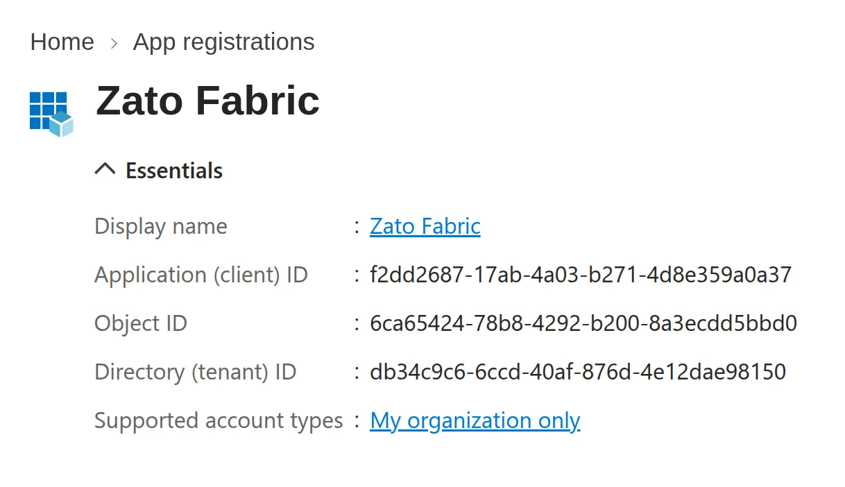 Azure portal, App registrations - the Essentials section with the display name, the application (client) ID, the object ID, the directory (tenant) ID and the supported account types